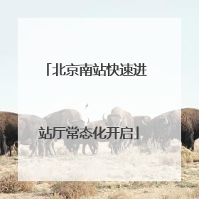 北京南站快速进站厅常态化开启