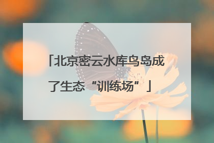北京密云水库鸟岛成了生态“训练场”