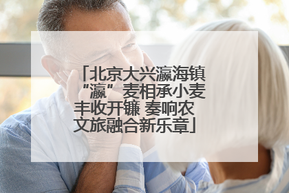 北京大兴瀛海镇“瀛”麦相承小麦丰收开镰 奏响农文旅融合新乐章