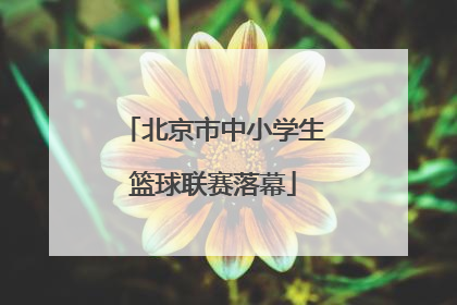 北京市中小学生篮球联赛落幕