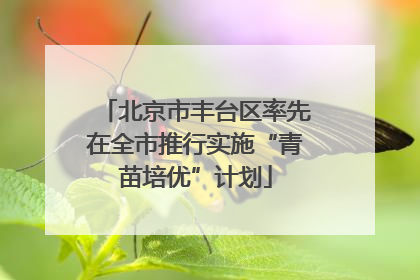 北京市丰台区率先在全市推行实施“青苗培优”计划
