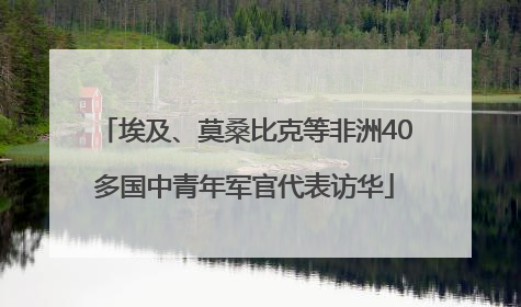 埃及、莫桑比克等非洲40多国中青年军官代表访华