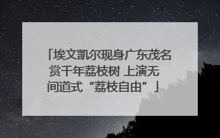 埃文凯尔现身广东茂名 赏千年荔枝树 上演无间道式“荔枝自由”