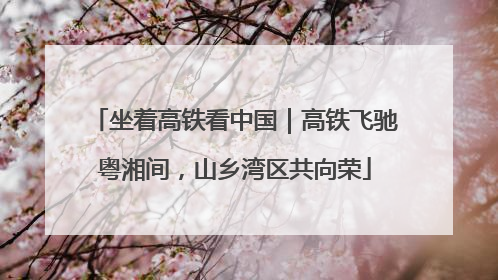 坐着高铁看中国｜高铁飞驰粤湘间，山乡湾区共向荣