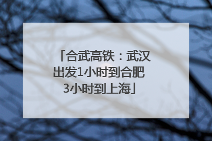 合武高铁：武汉出发1小时到合肥3小时到上海