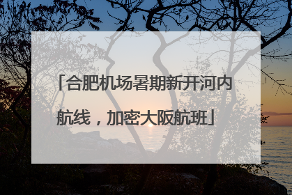 合肥机场暑期新开河内航线，加密大阪航班