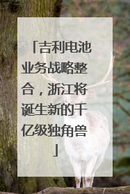 吉利电池业务战略整合，浙江将诞生新的千亿级独角兽