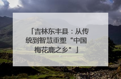 吉林东丰县：从传统到智慧重塑“中国梅花鹿之乡”