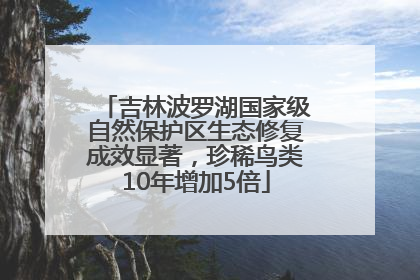 吉林波罗湖国家级自然保护区生态修复成效显著，珍稀鸟类10年增加5倍