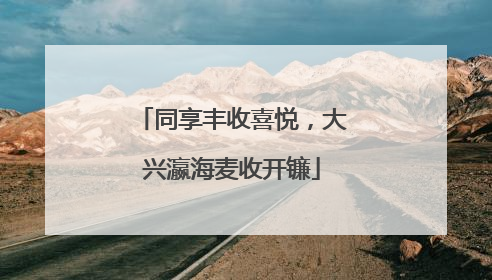 同享丰收喜悦，大兴瀛海麦收开镰