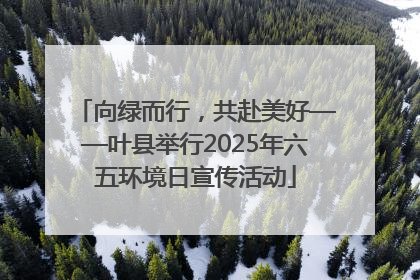 向绿而行，共赴美好——叶县举行2025年六五环境日宣传活动