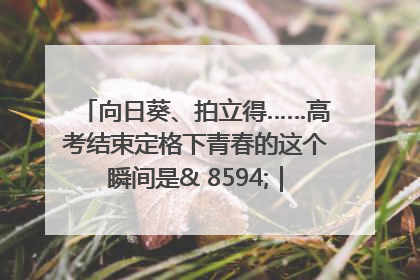 向日葵、拍立得……高考结束定格下青春的这个瞬间是& 8594;｜2025四川高考