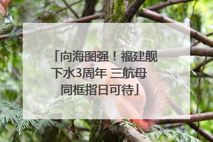 向海图强！福建舰下水3周年 三航母同框指日可待