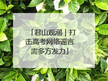 君山观潮｜打击高考网络谣言需多方发力