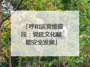 呼和运营维管段：党建文化赋能安全发展