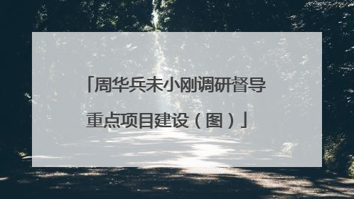 周华兵未小刚调研督导重点项目建设（图）