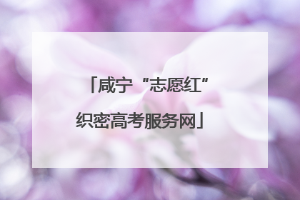 咸宁“志愿红”织密高考服务网