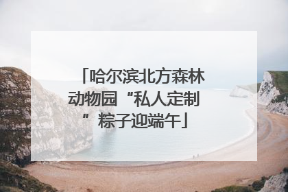 哈尔滨北方森林动物园“私人定制”粽子迎端午