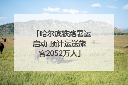 哈尔滨铁路暑运启动 预计运送旅客2052万人