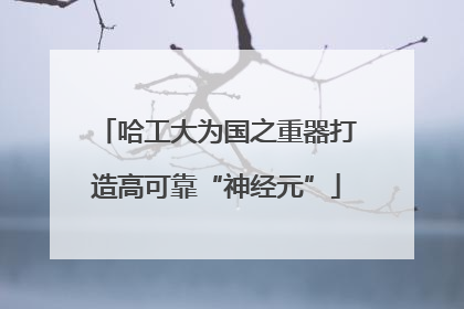 哈工大为国之重器打造高可靠“神经元”