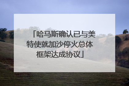 哈马斯确认已与美特使就加沙停火总体框架达成协议