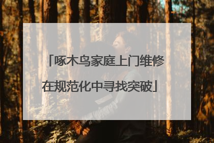 啄木鸟家庭上门维修在规范化中寻找突破