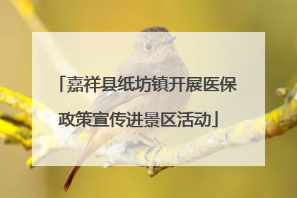 嘉祥县纸坊镇开展医保政策宣传进景区活动