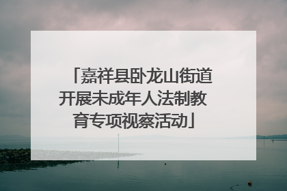 嘉祥县卧龙山街道开展未成年人法制教育专项视察活动