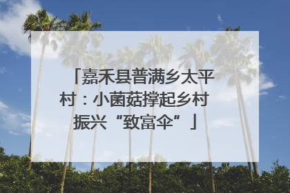 嘉禾县普满乡太平村：小菌菇撑起乡村振兴“致富伞”