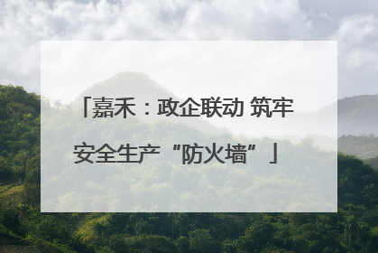 嘉禾：政企联动 筑牢安全生产“防火墙”