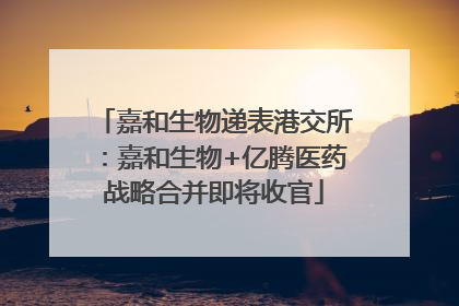 嘉和生物递表港交所：嘉和生物+亿腾医药战略合并即将收官