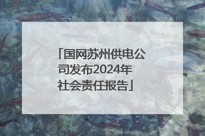 国网苏州供电公司发布2024年社会责任报告