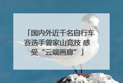 国内外近千名自行车赛选手曾家山竞技 感受“云端画廊”