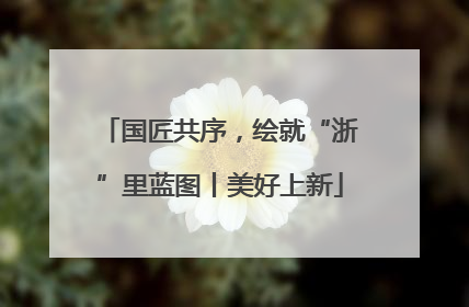 国匠共序，绘就“浙”里蓝图丨美好上新