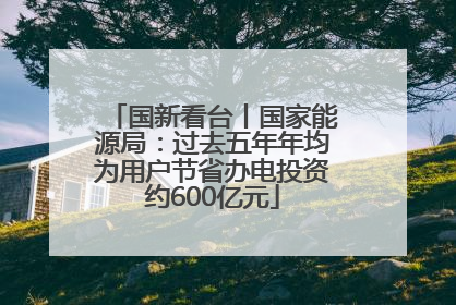 国新看台丨国家能源局：过去五年年均为用户节省办电投资约600亿元