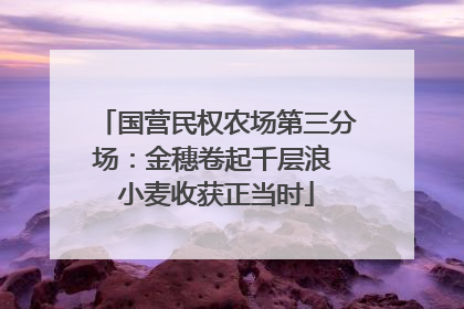 国营民权农场第三分场：金穗卷起千层浪 小麦收获正当时