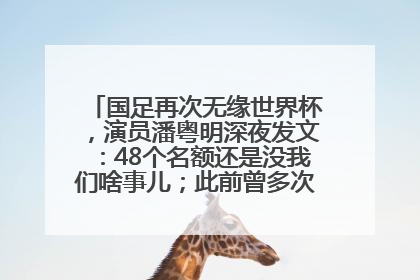 国足再次无缘世界杯，演员潘粤明深夜发文：48个名额还是没我们啥事儿；此前曾多次为国足发声