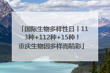 国际生物多样性日丨113种+112种+15种！重庆生物因多样而精彩