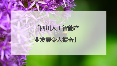 四川人工智能产业发展令人振奋