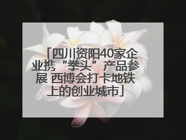 四川资阳40家企业携“拳头”产品参展 西博会打卡地铁上的创业城市