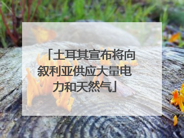 土耳其宣布将向叙利亚供应大量电力和天然气