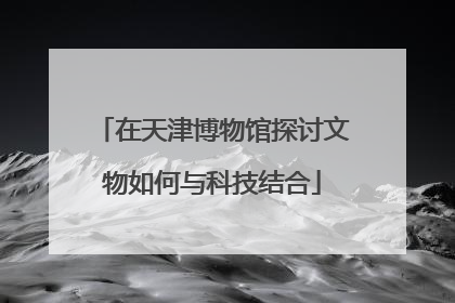 在天津博物馆探讨文物如何与科技结合