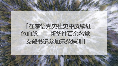在感悟党史社史中赓续红色血脉——新华社百余名党支部书记参加示范培训