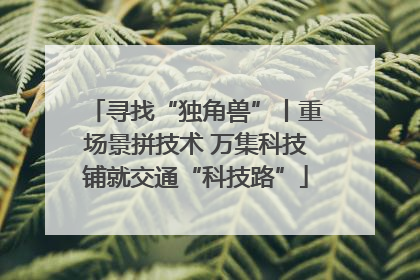 寻找“独角兽”丨重场景拼技术 万集科技铺就交通“科技路”