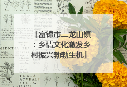 富锦市二龙山镇：乡情文化激发乡村振兴勃勃生机