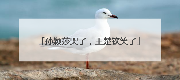 孙颖莎哭了，王楚钦笑了