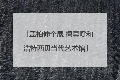 孟柏伸个展 揭幕呼和浩特西贝当代艺术馆
