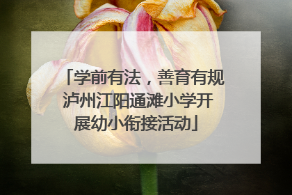 学前有法，善育有规 泸州江阳通滩小学开展幼小衔接活动