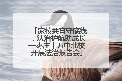 家校共育守底线，法治护航助成长—枣庄十五中北校开展法治报告会