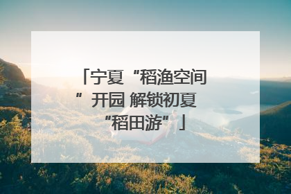 宁夏“稻渔空间”开园 解锁初夏“稻田游”